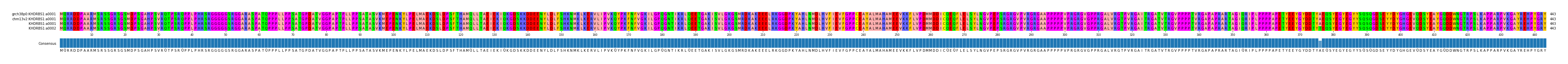 Multiple Alignments (by translate haplotype similarity)