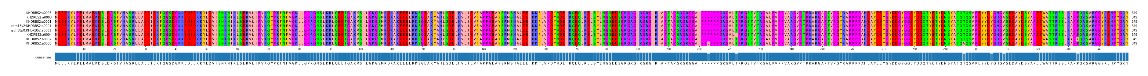 Multiple Alignments (by translate haplotype similarity)