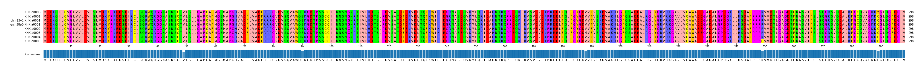 Multiple Alignments (by translate haplotype similarity)