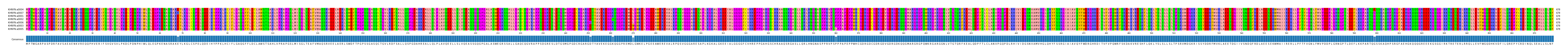 Multiple Alignments (by translate haplotype similarity)