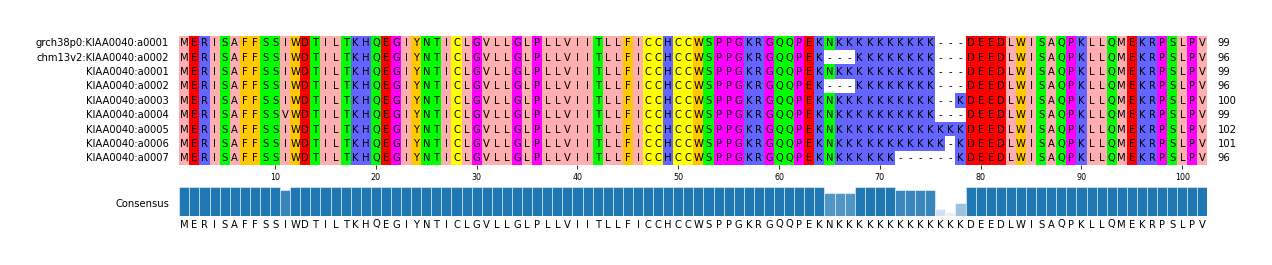 Multiple Alignments (by translate haplotype frequency)