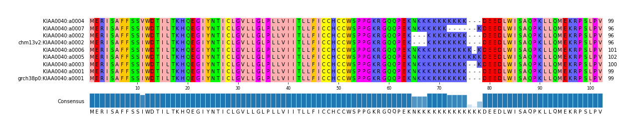 Multiple Alignments (by translate haplotype similarity)