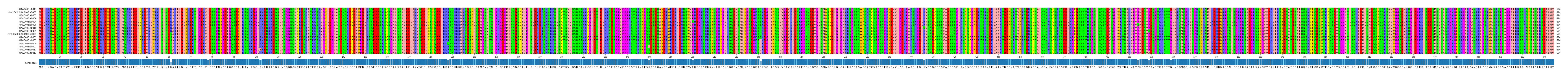 Multiple Alignments (by translate haplotype similarity)