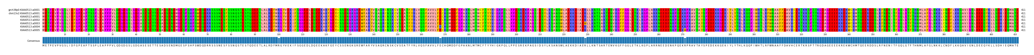 Multiple Alignments (by translate haplotype frequency)