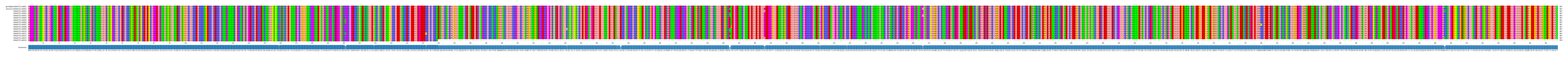 Multiple Alignments (by translate haplotype frequency)