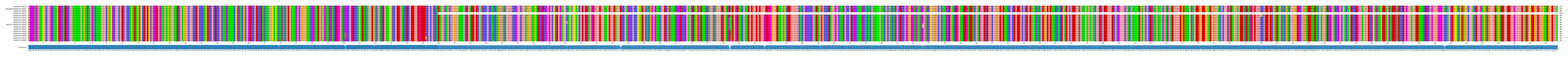 Multiple Alignments (by translate haplotype similarity)