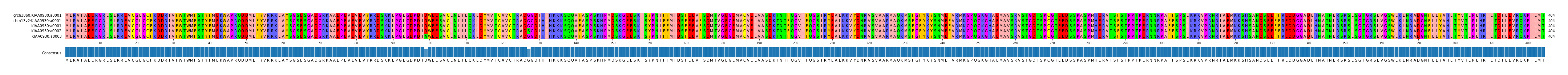 Multiple Alignments (by translate haplotype frequency)