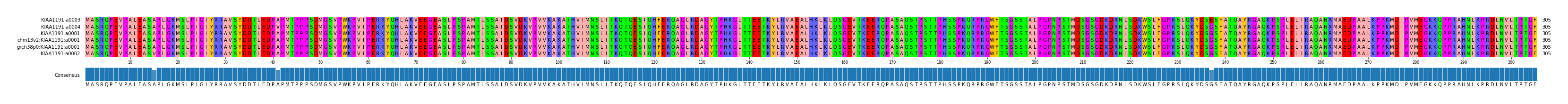 Multiple Alignments (by translate haplotype similarity)