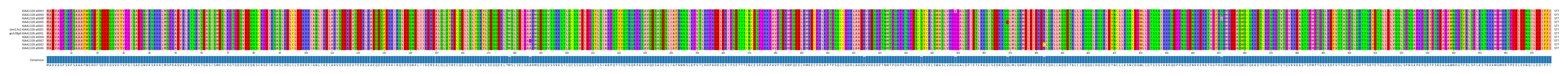 Multiple Alignments (by translate haplotype similarity)