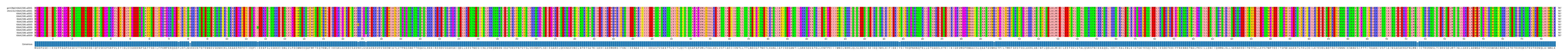 Multiple Alignments (by translate haplotype frequency)