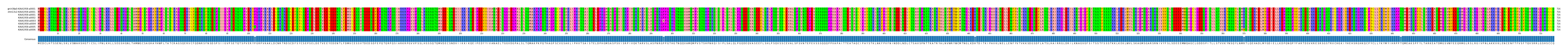 Multiple Alignments (by translate haplotype frequency)