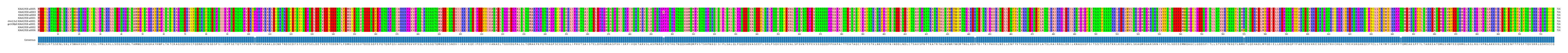 Multiple Alignments (by translate haplotype similarity)