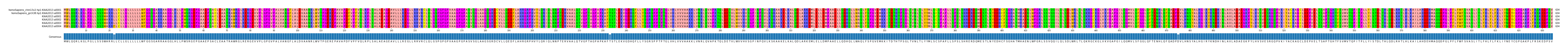 Multiple Alignments (by translate haplotype frequency)