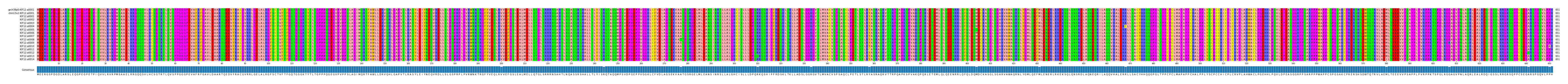 Multiple Alignments (by translate haplotype frequency)