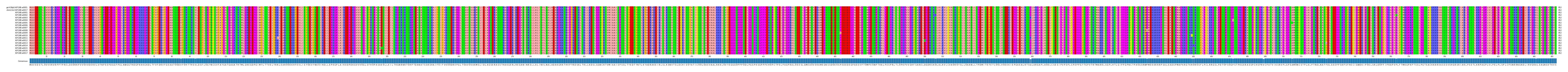 Multiple Alignments (by translate haplotype frequency)