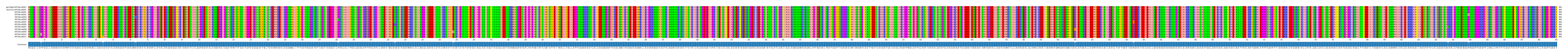 Multiple Alignments (by translate haplotype frequency)