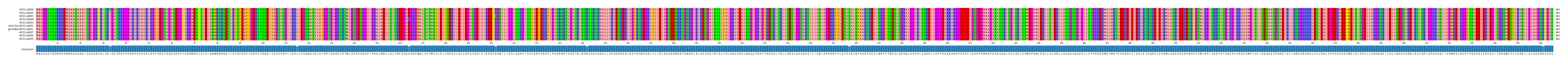 Multiple Alignments (by translate haplotype similarity)