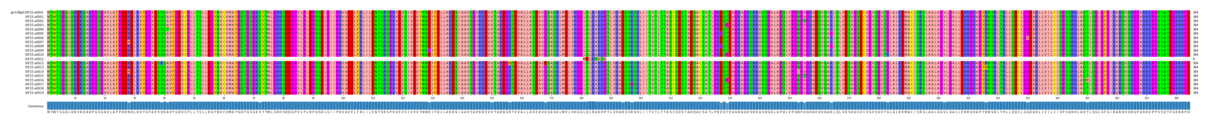 Multiple Alignments (by translate haplotype frequency)