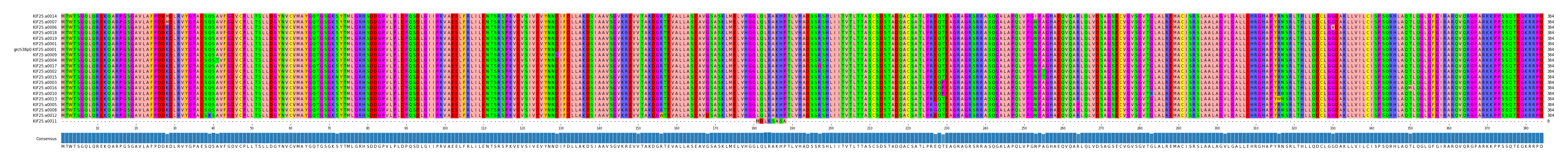 Multiple Alignments (by translate haplotype similarity)