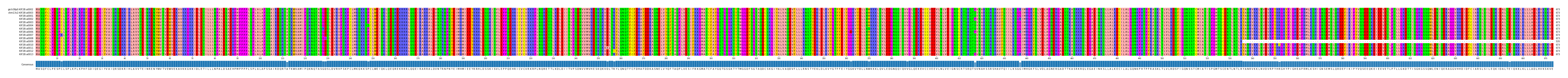Multiple Alignments (by translate haplotype frequency)