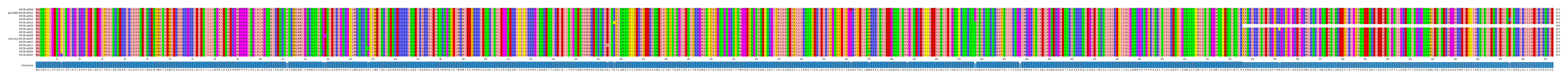 Multiple Alignments (by translate haplotype similarity)