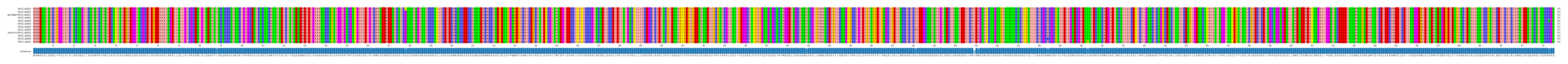 Multiple Alignments (by translate haplotype similarity)