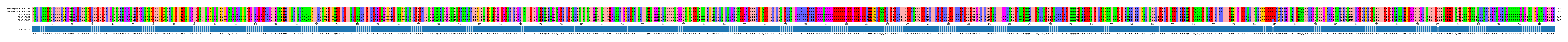 Multiple Alignments (by translate haplotype frequency)