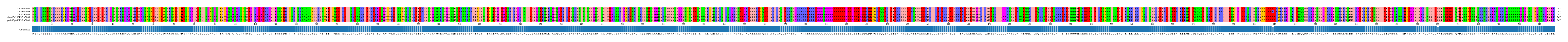 Multiple Alignments (by translate haplotype similarity)