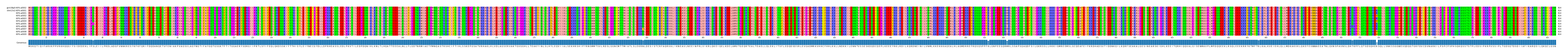 Multiple Alignments (by translate haplotype frequency)