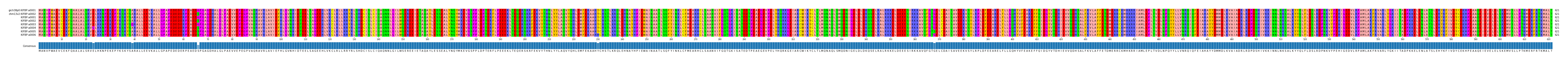 Multiple Alignments (by translate haplotype frequency)