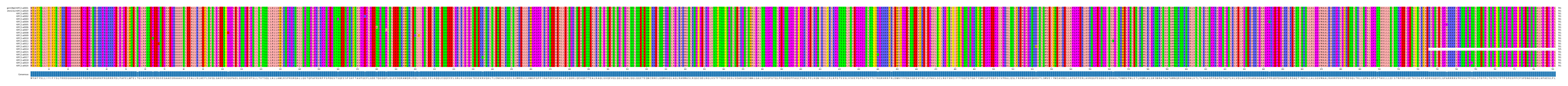 Multiple Alignments (by translate haplotype frequency)