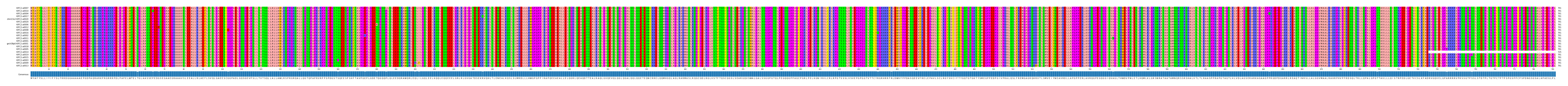 Multiple Alignments (by translate haplotype similarity)