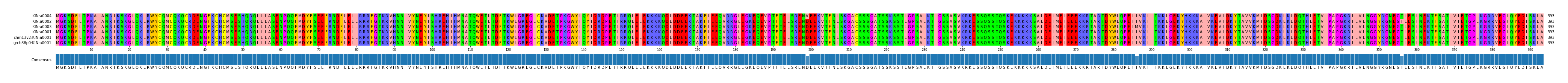 Multiple Alignments (by translate haplotype similarity)