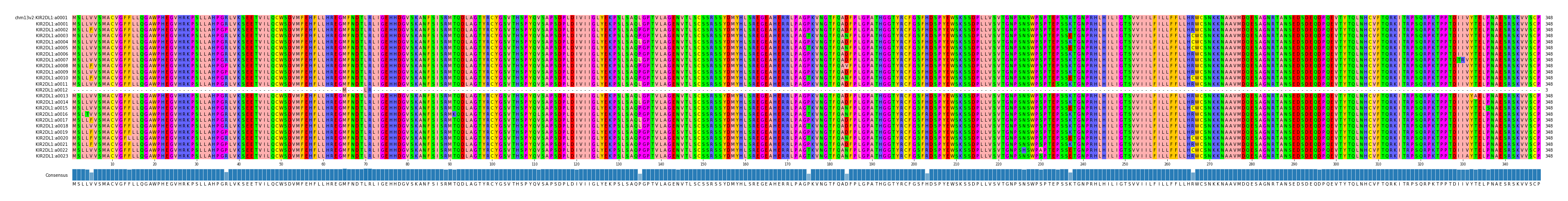 Multiple Alignments (by translate haplotype frequency)