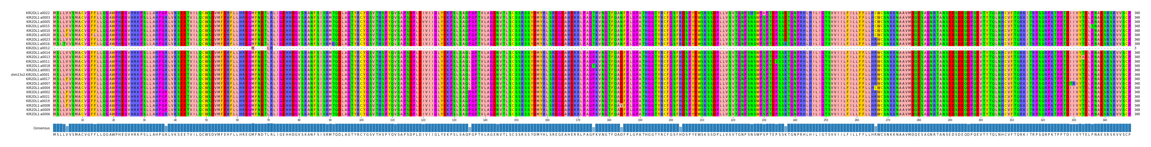 Multiple Alignments (by translate haplotype similarity)