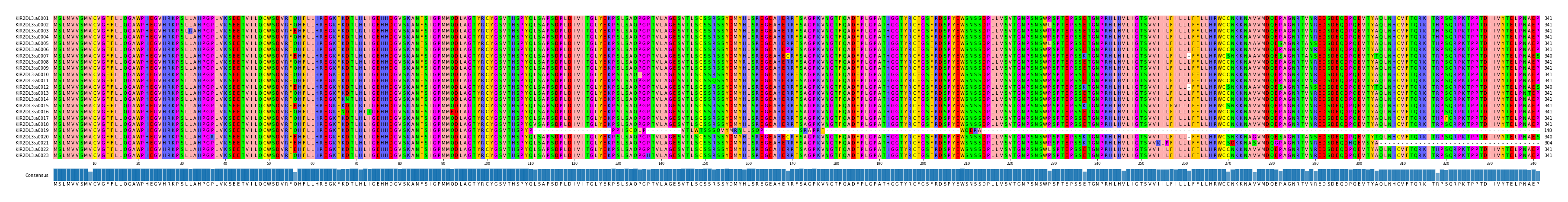 Multiple Alignments (by translate haplotype frequency)
