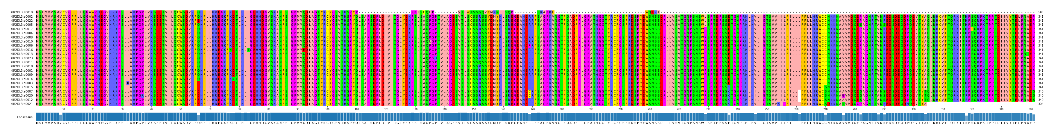 Multiple Alignments (by translate haplotype similarity)