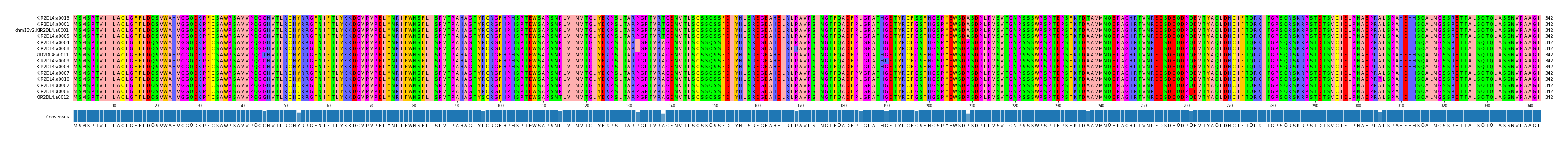 Multiple Alignments (by translate haplotype similarity)
