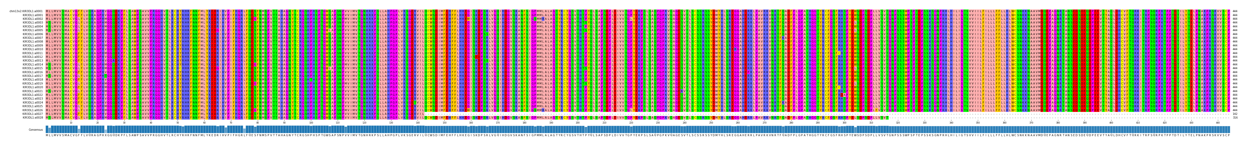 Multiple Alignments (by translate haplotype frequency)