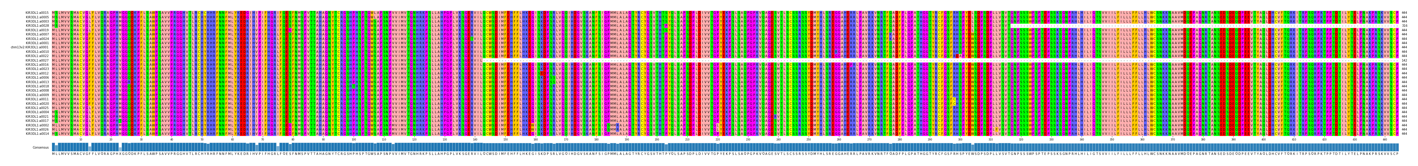Multiple Alignments (by translate haplotype similarity)