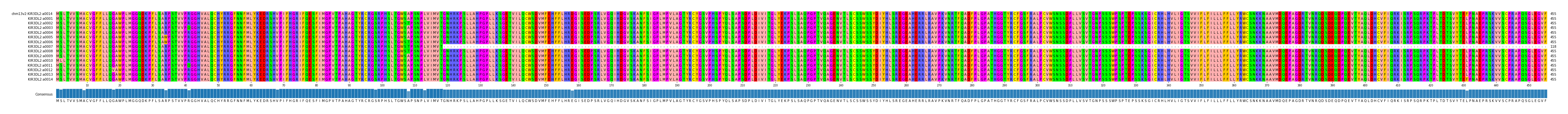 Multiple Alignments (by translate haplotype frequency)