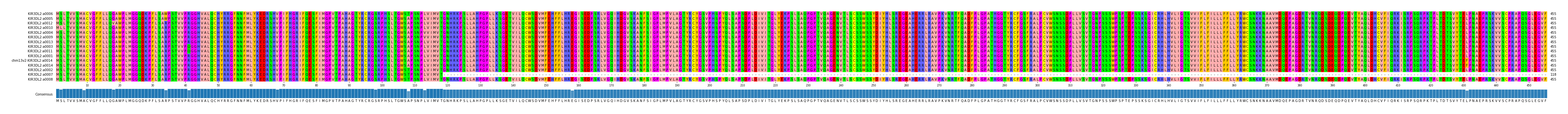 Multiple Alignments (by translate haplotype similarity)