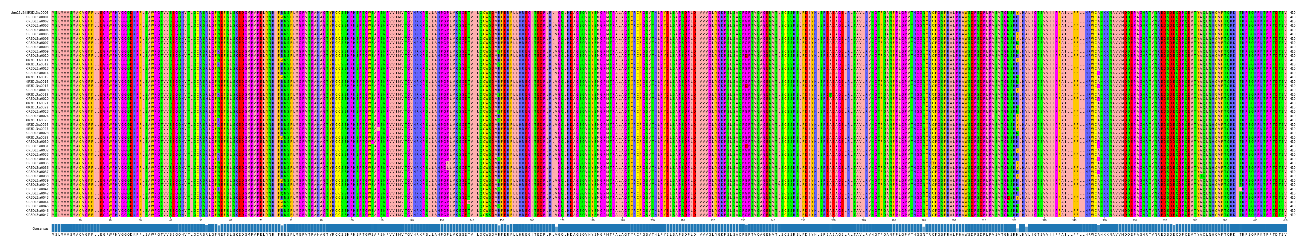 Multiple Alignments (by translate haplotype frequency)