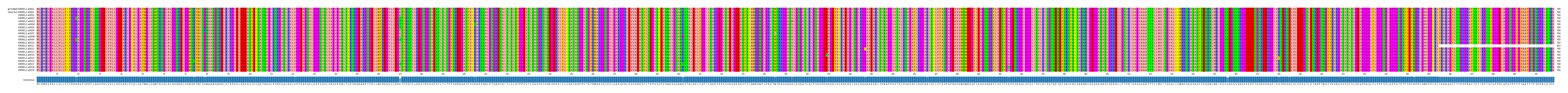 Multiple Alignments (by translate haplotype frequency)