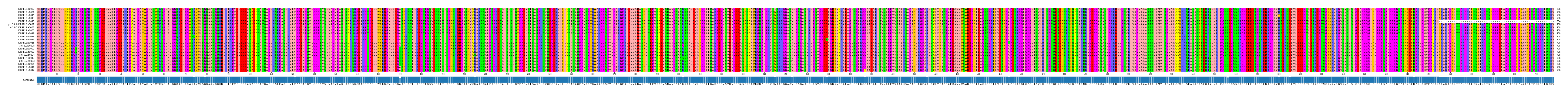 Multiple Alignments (by translate haplotype similarity)