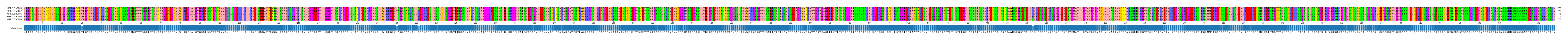 Multiple Alignments (by translate haplotype similarity)