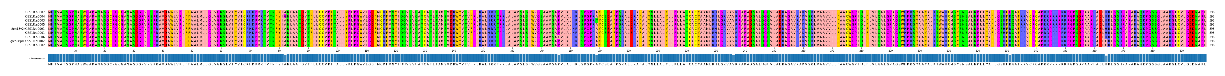 Multiple Alignments (by translate haplotype similarity)