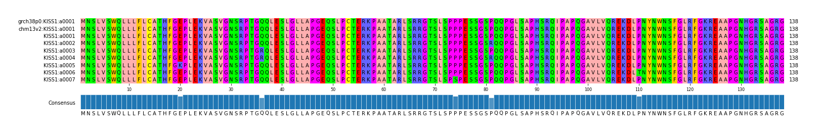 Multiple Alignments (by translate haplotype frequency)