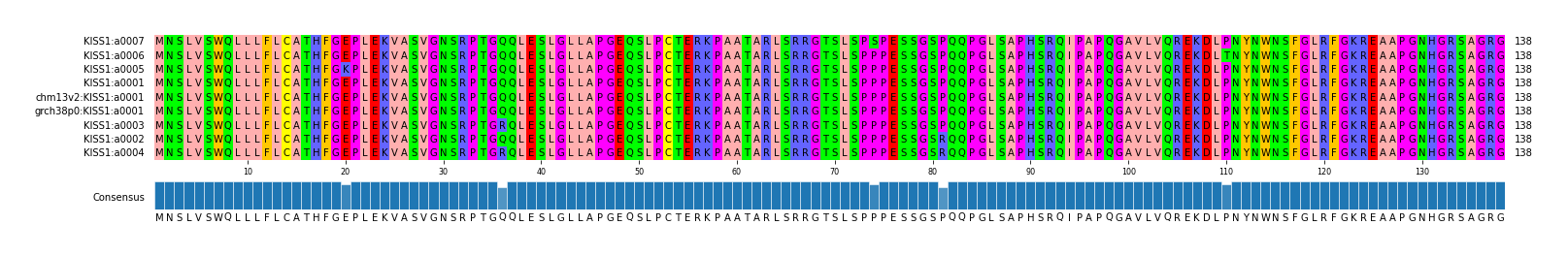 Multiple Alignments (by translate haplotype similarity)