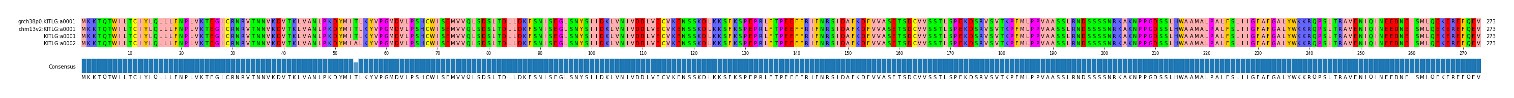 Multiple Alignments (by translate haplotype similarity)